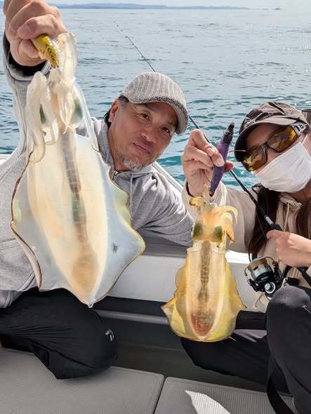アオリイカ