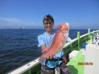 最新釣り情報 釣果 やまてん丸 公式サイト