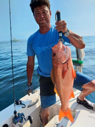 最新釣り情報・釣果｜Sea Frog【公式サイト】