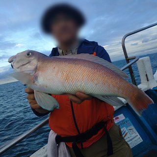 最新釣り情報・釣果｜【公式】和歌山ルアー船heyheyshipヘイヘイ