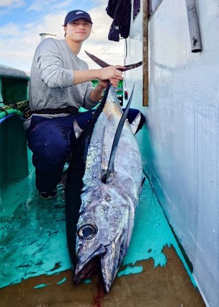 ビンチョウマグロ