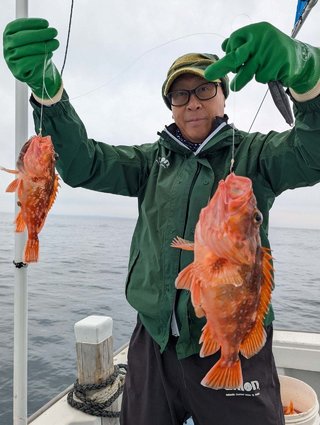 ウッカリカサゴ