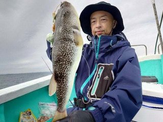 ショウサイフグ