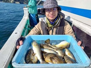 ショウサイフグ