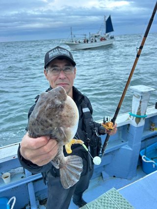 ショウサイフグ