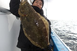 ヒラメ
