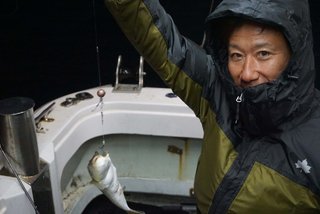 ショウサイフグ