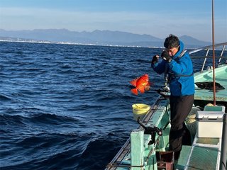 チカメキントキ