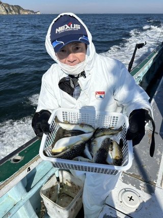 ショウサイフグ