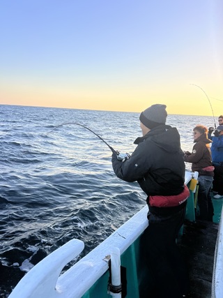 ビンチョウマグロ