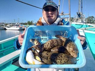 ショウサイフグ