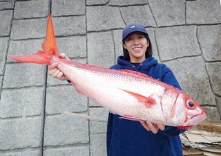 オオクチハマダイ