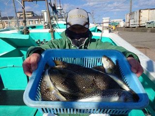 ショウサイフグ