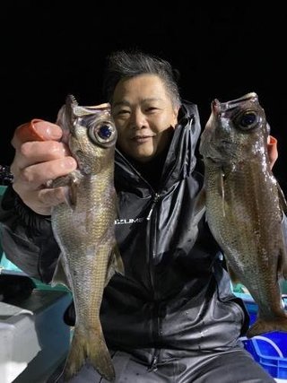 クロシビカマス