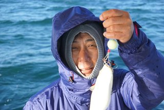 ショウサイフグ