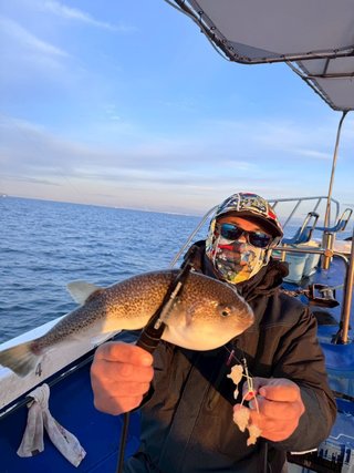 ショウサイフグ