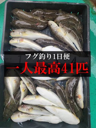 ショウサイフグ