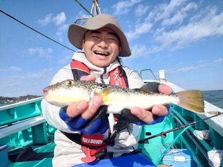 ショウサイフグ