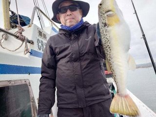 ショウサイフグ