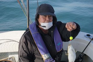 ショウサイフグ