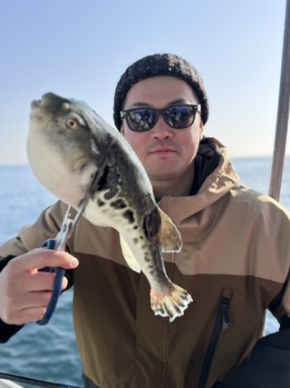 ショウサイフグ