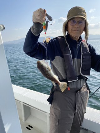 ショウサイフグ