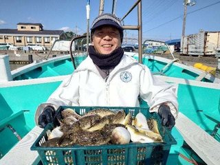 ショウサイフグ