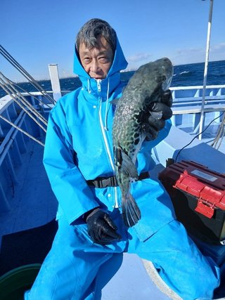 ショウサイフグ