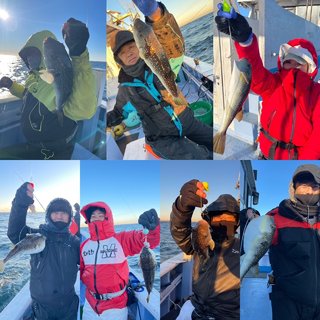 ショウサイフグ