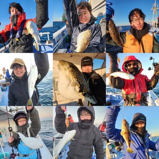 ショウサイフグ