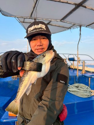 ショウサイフグ