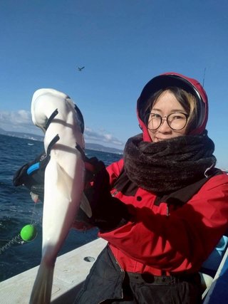 ショウサイフグ