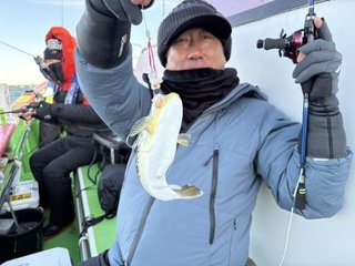 ショウサイフグ