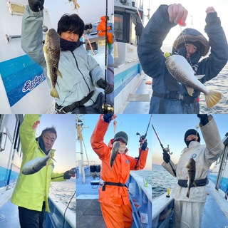 ショウサイフグ