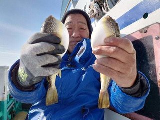 ショウサイフグ