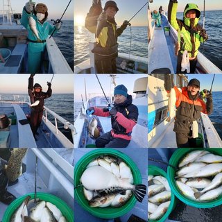 ショウサイフグ