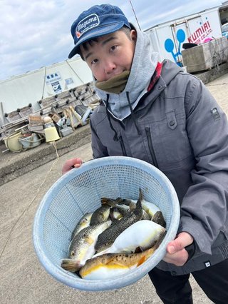 ショウサイフグ