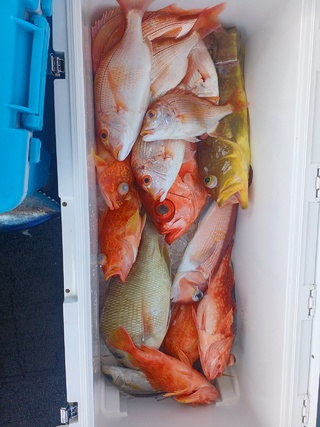 チカメキントキ