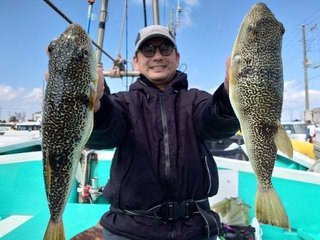 ショウサイフグ