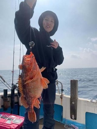 ウッカリカサゴ