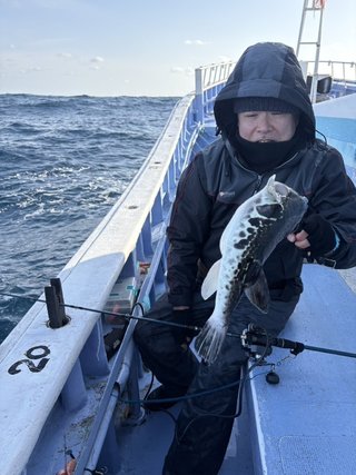 ショウサイフグ