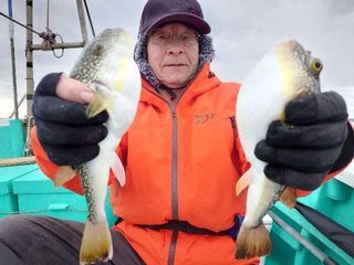 ショウサイフグ