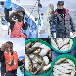 ショウサイフグ