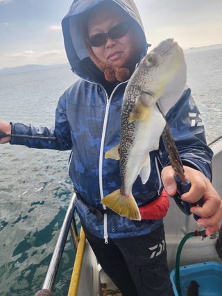 ショウサイフグ