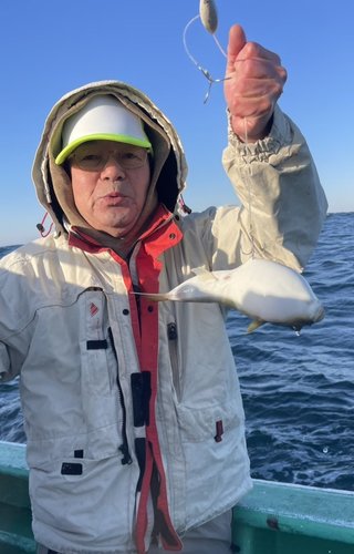 ショウサイフグ