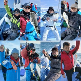 ショウサイフグ