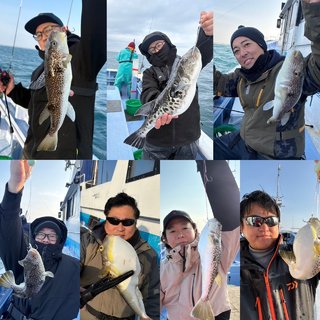 ショウサイフグ