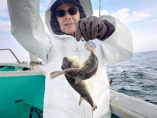 ショウサイフグ