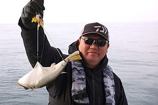 ショウサイフグ