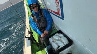 モンゴウイカ